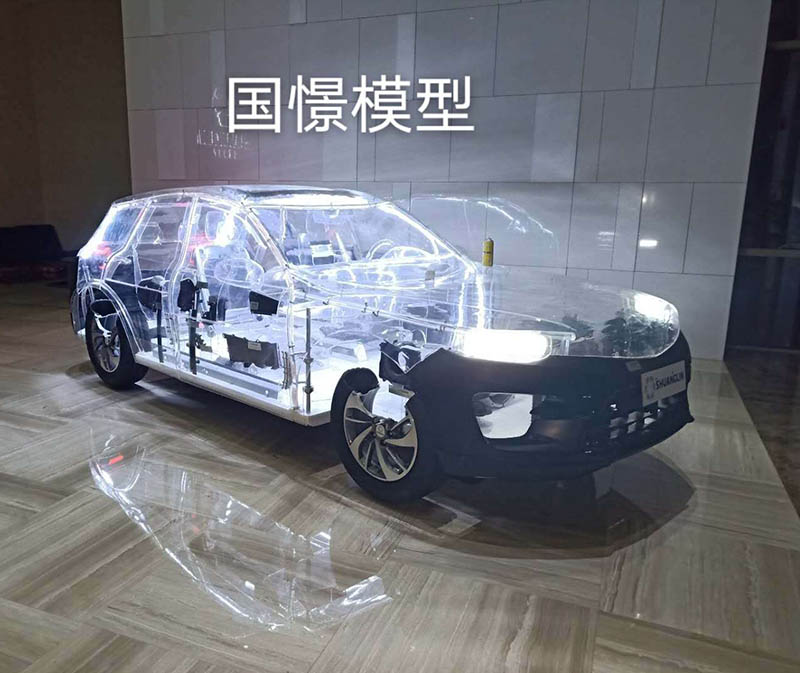 张掖透明车模型